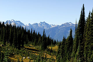 Blick vom Mt. Revelstoke