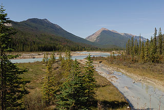 Kicking Horse River