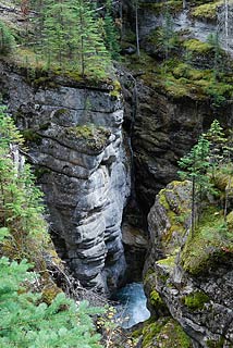 Maligne Canyon