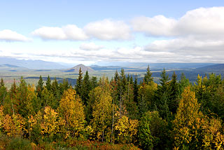 Blick über Wells Gray
